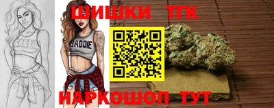 прущие грибы Апрелевка