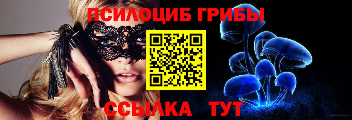 Белореченск  Псилоцибиновые грибы Psilocybe  Вход с VPN 